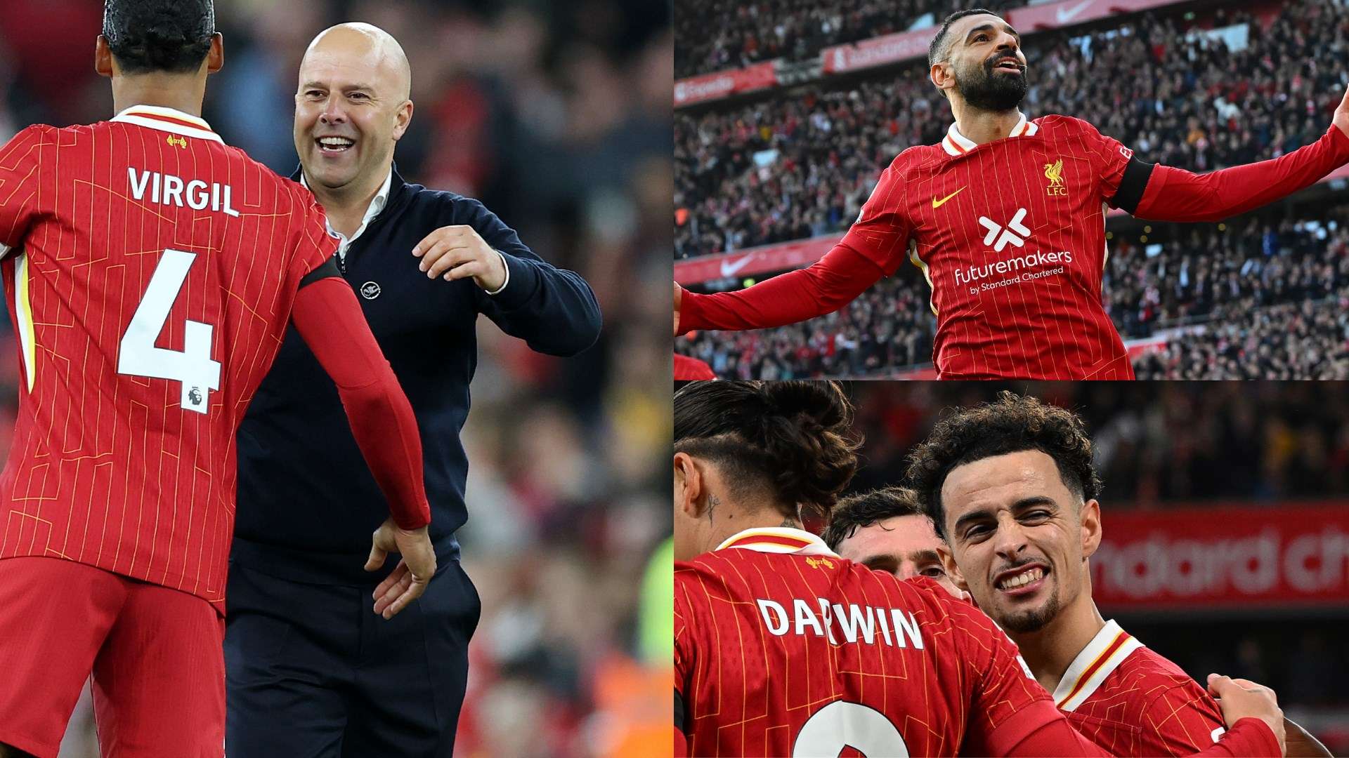 了粉丝的极 了粉丝的极